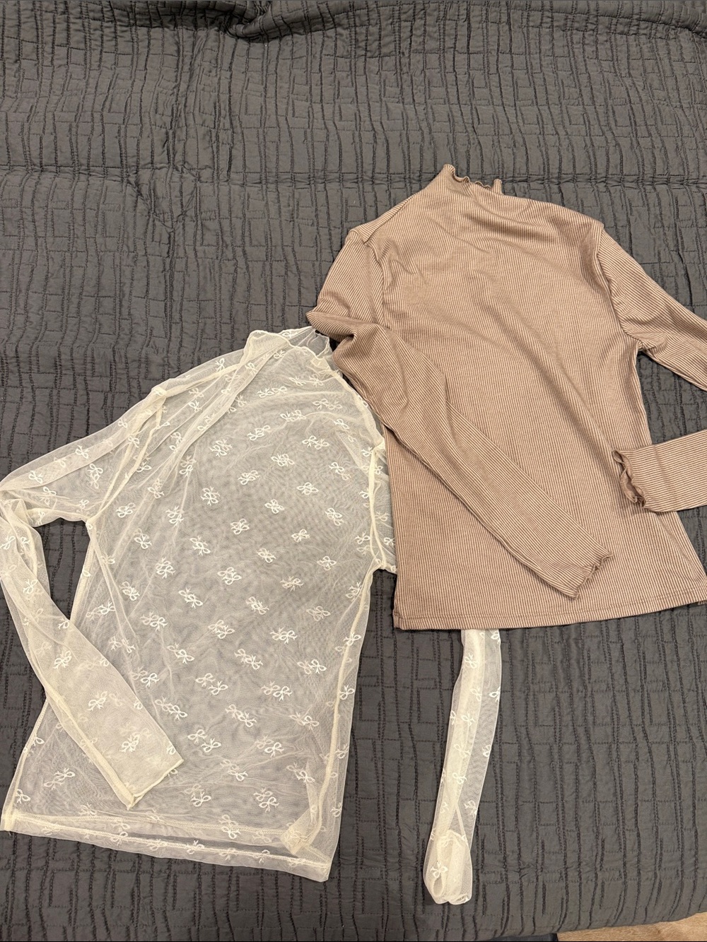 Sheer Lace Long Sleeve Top + Ribbed Mock Neck Tee — Cream & Taupe